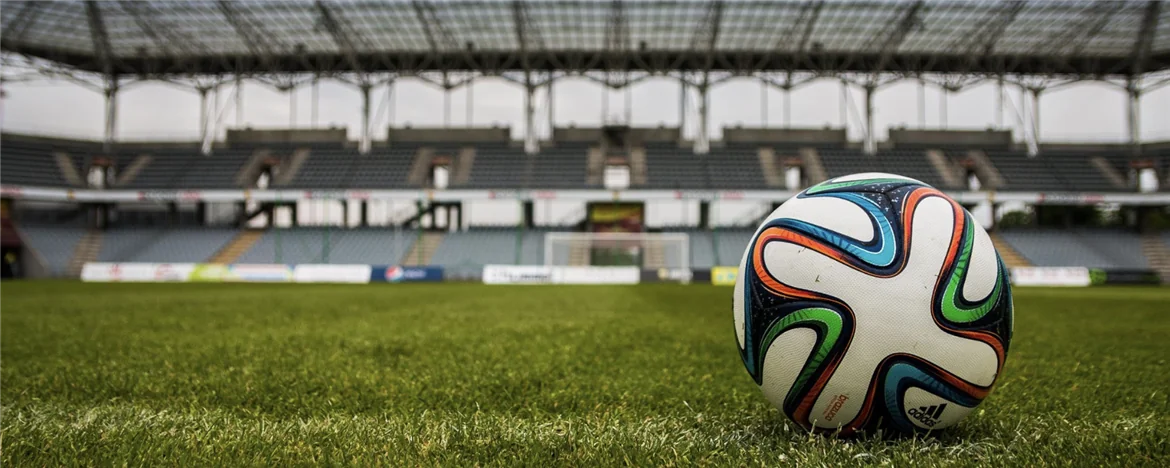 Spagna, posti per cani allo stadio